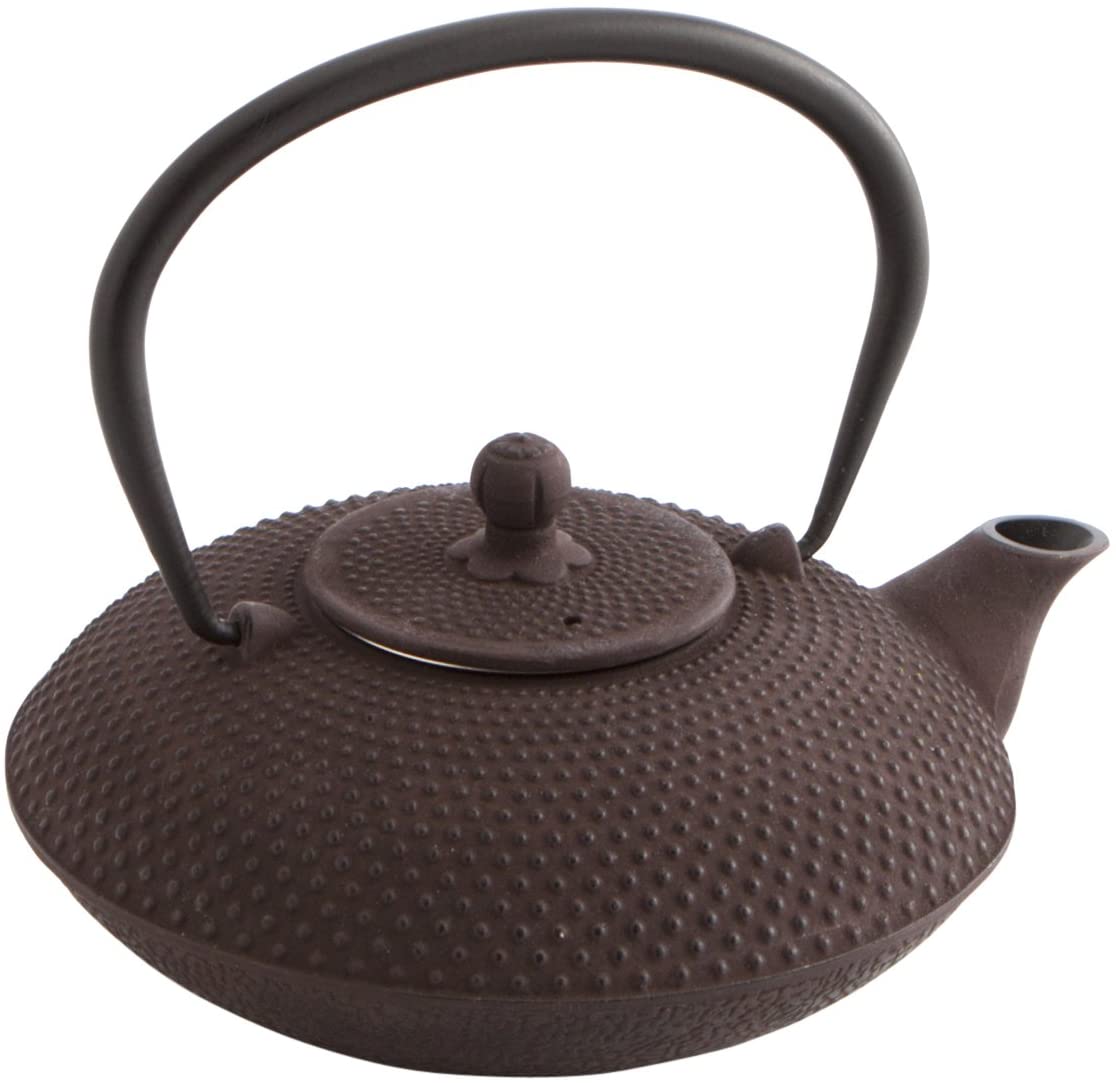 Toptier - Tetera japonesa de hierro fundido con infusor de té de acero  inoxidable. Juego de tetera de hierro fundido duradero, diseño retro Tea  Kettle